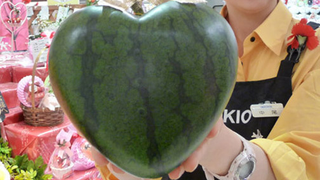 Japanese Find Out How to Make Heart-Shaped Watermelons